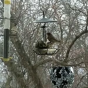 Meet your Posher, Kathy